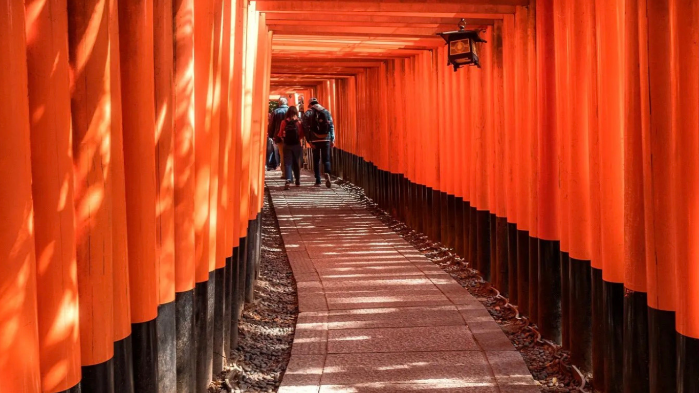 Kyoto streets lined with cherry blossoms in spring