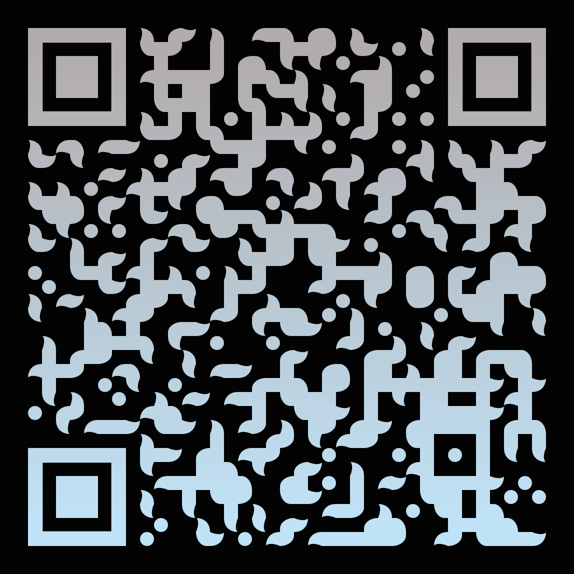 RaeRoutes QR Code